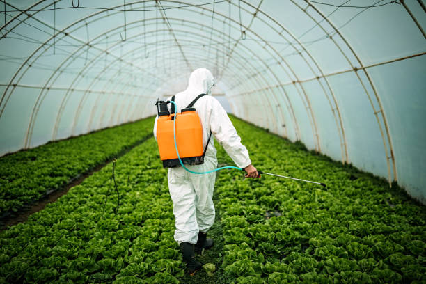Best Pest Inspection Near Me  in Massanutten, VA