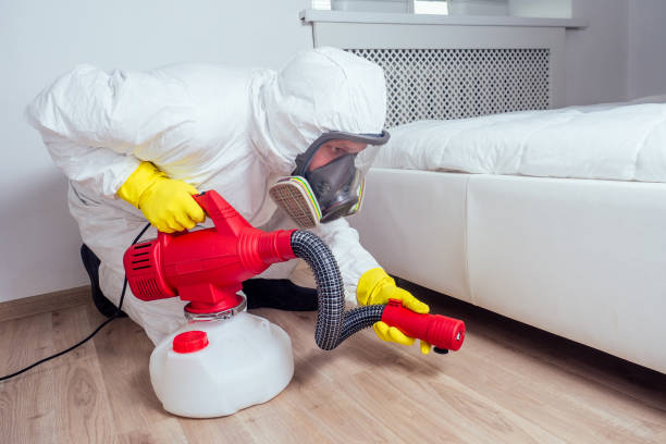 Best Wasp Removal Services  in Massanutten, VA